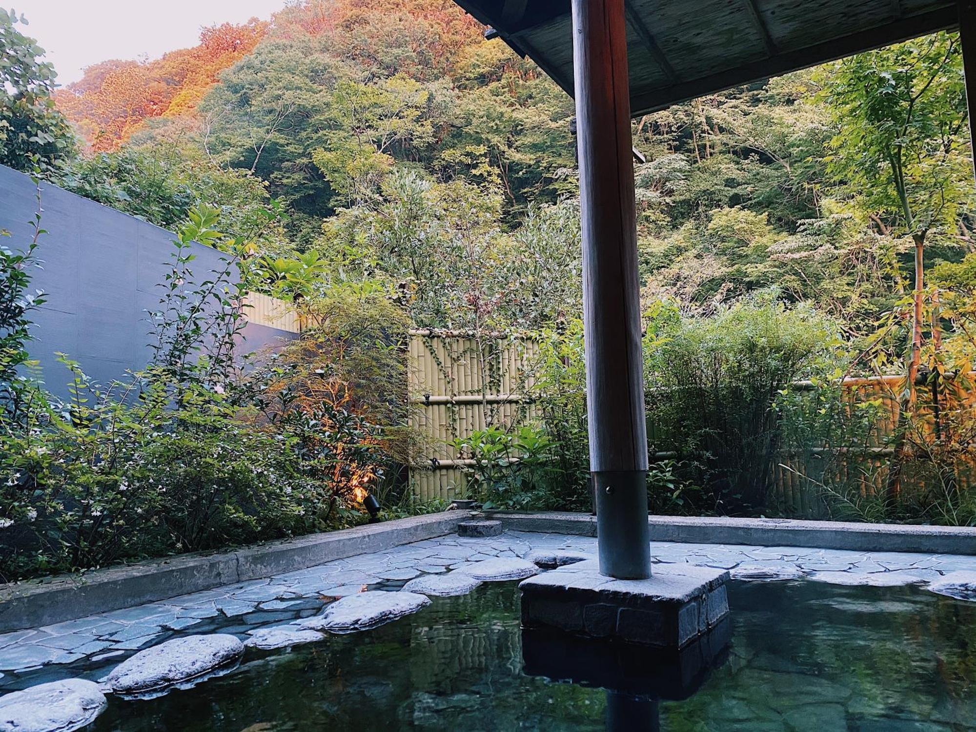 Onsen Guest House Tsutaya Hakone Dış mekan fotoğraf